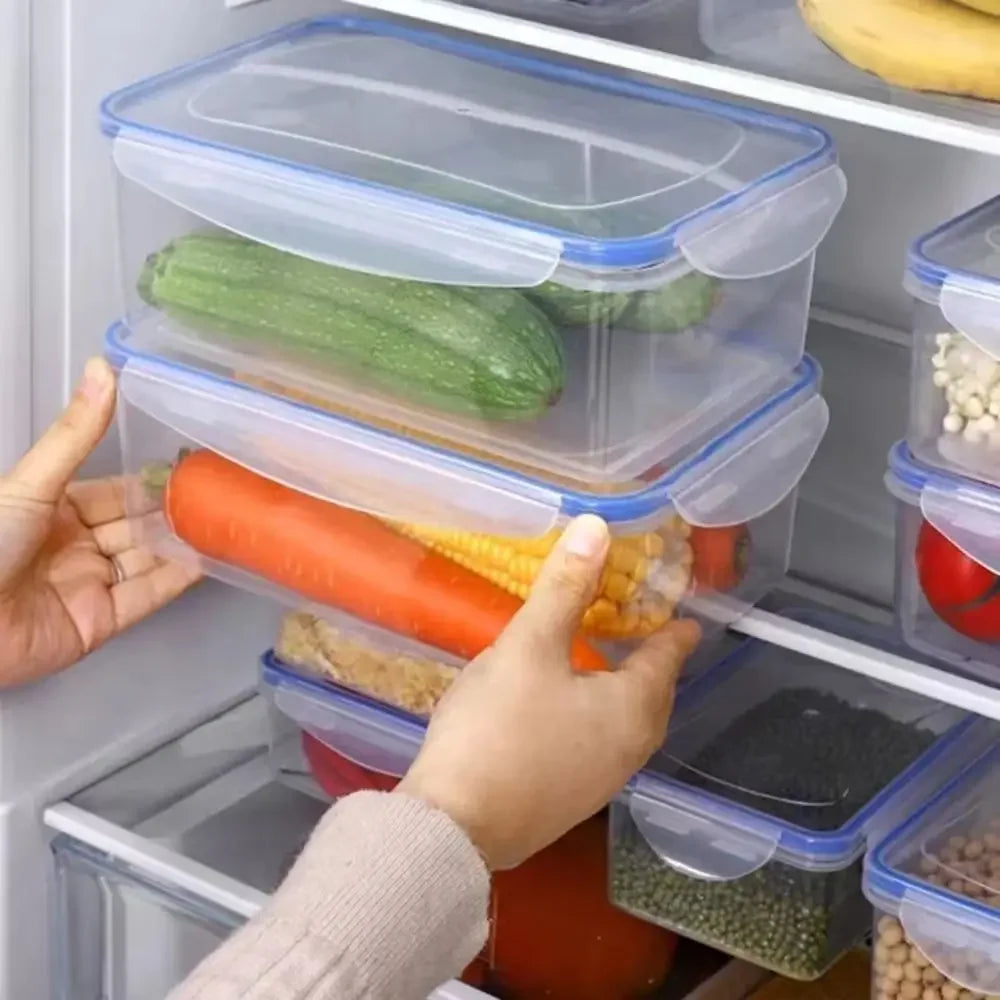 Refrigerator Storage Box Food Containers
